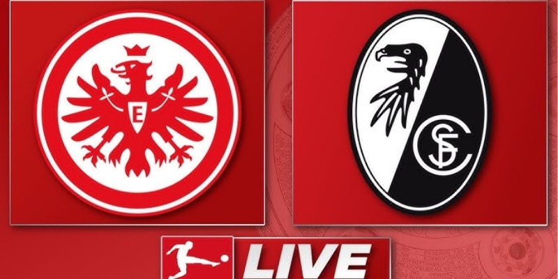 Dự đoán tỷ lệ trận Freiburg vs Eintracht Frankfurt 17/5/2025 20h30 1 Freiburg vs Eintracht Frankfurt